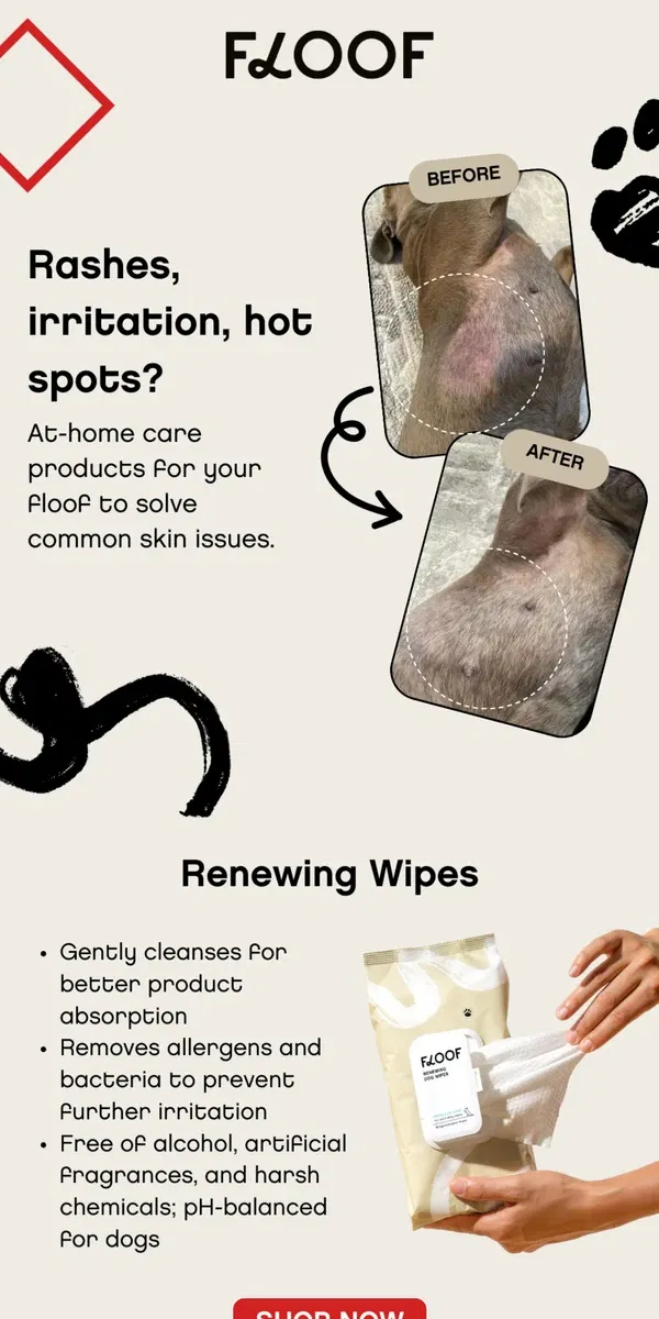 Email from Floof. Beat Your Dog’s Skin Issues at Home—Fast Relief Starts Now!