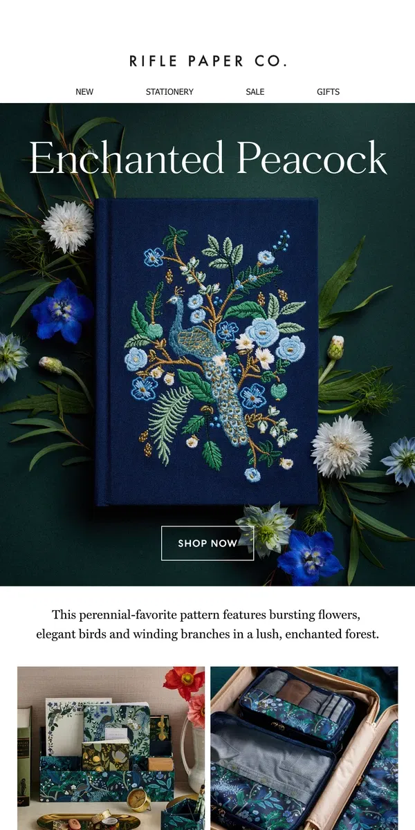 Email from Rifle Paper Co.. All About Peacock 🦚