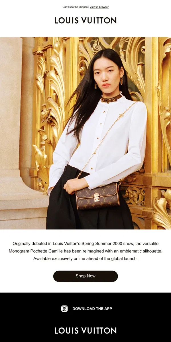 Email from Louis Vuitton. Early Access: Pochette Camille