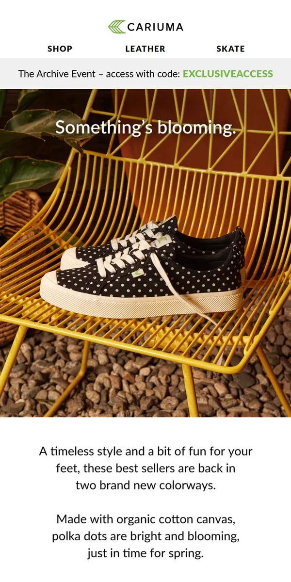 Email from Cariuma. Polka Dots: The Spring Edit