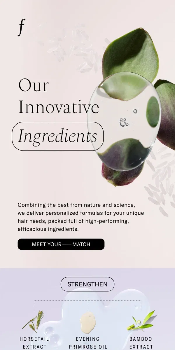 Email from Function of Beauty. Get to know our ingredients 🌱