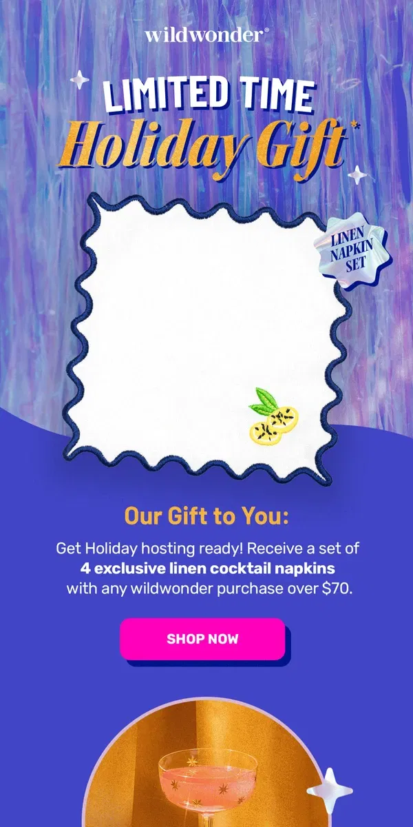 Email from wildwonder. LIMITED TIME HOLIDAY GIFT 💌