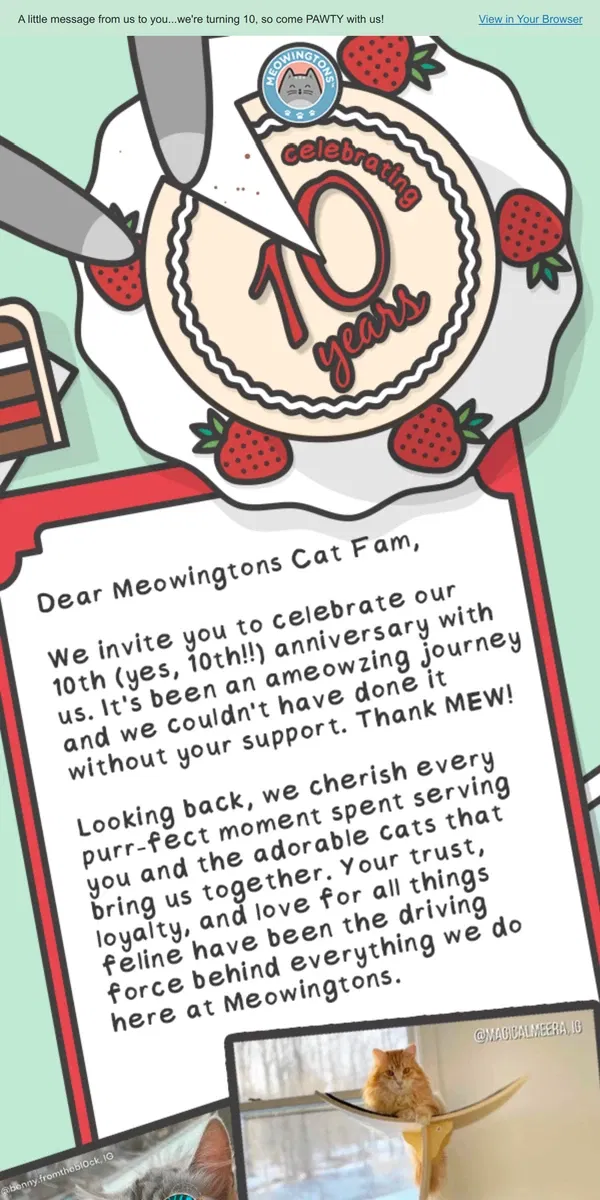 Email from Meowingtons. Our 10th Anniversary Sale Starts MEOW! 🐱🎂