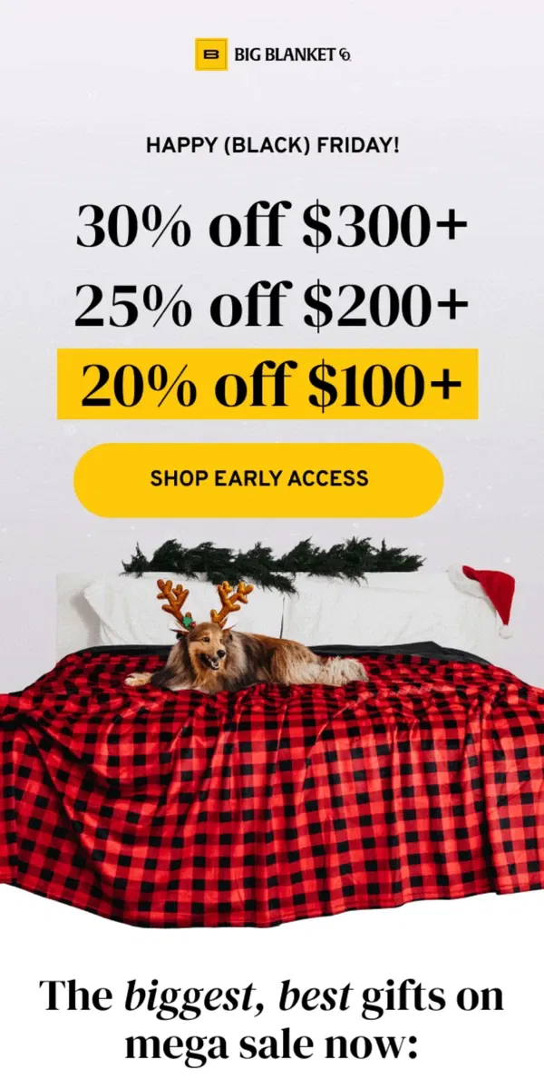 Email from Big Blanket Co. Your early access offer is waiting...