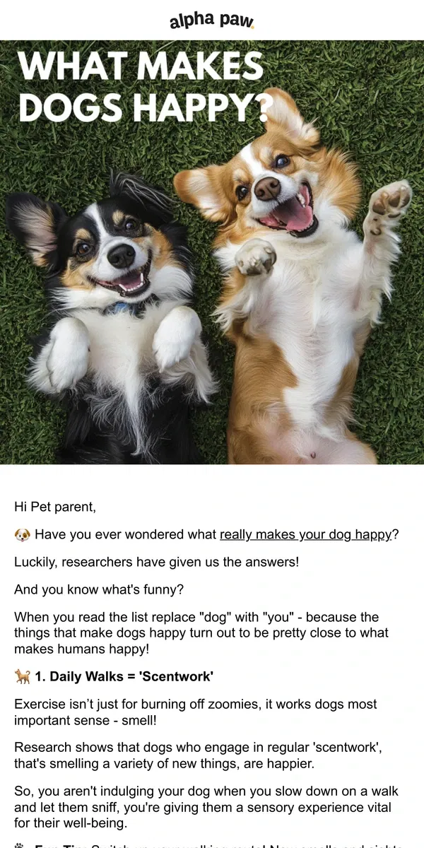 Email from Alpha Paw. ❤️What makes dogs happy? (according to science)