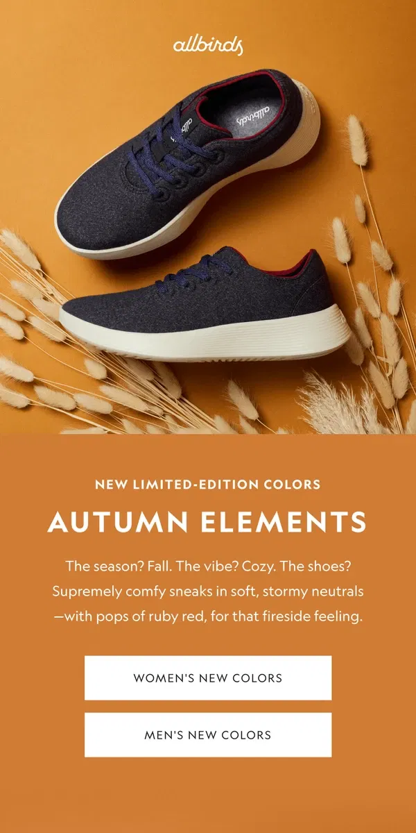 Email from Allbirds. New Colors For Cozy Season 🩶