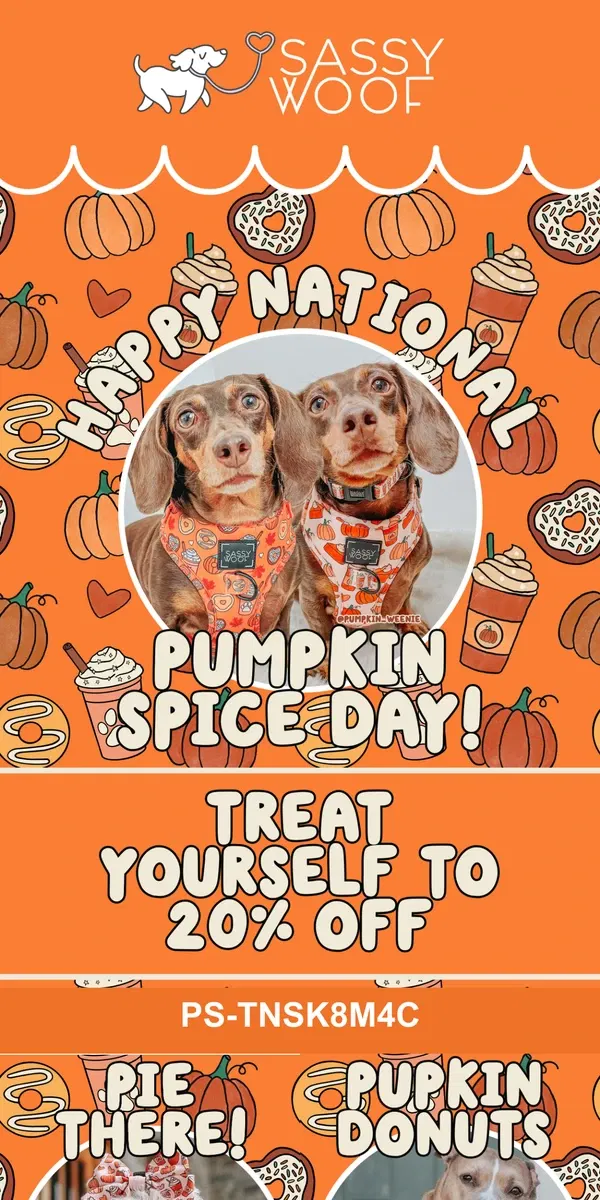 Email from Sassy Woof. Exclusive: National Pumpkin Spice Day Sale! 🎃