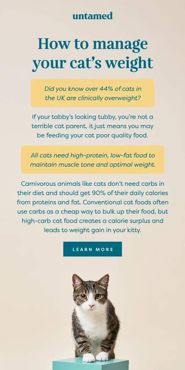 Email from Untamed Cat Food. Is your cat a little on the chunky side?