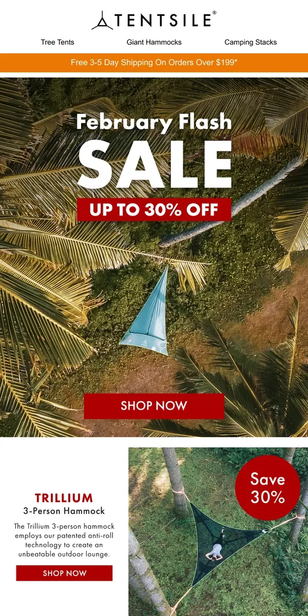 Email from Tentsile. February Flash SALE 🌲