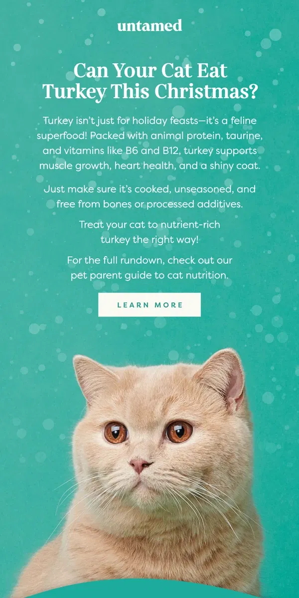 Email from Untamed Cat Food. Is turkey safe for cats?