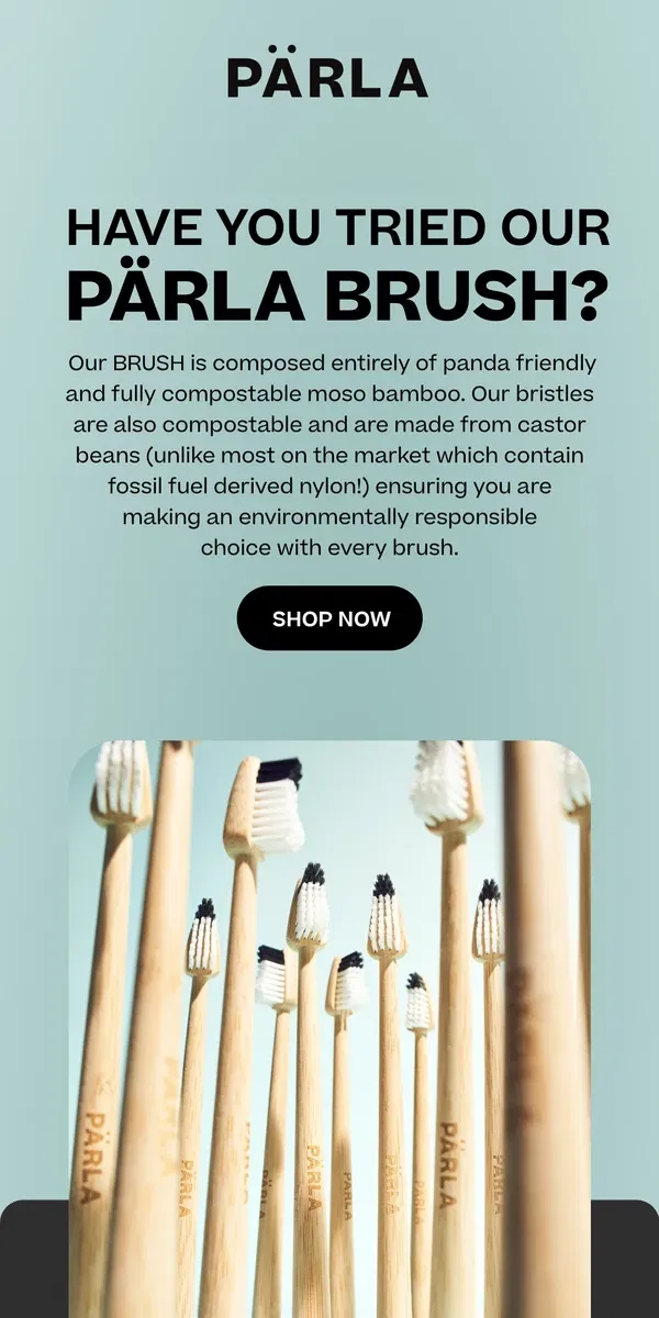 Email from PÄRLA. How often should you change your brush?