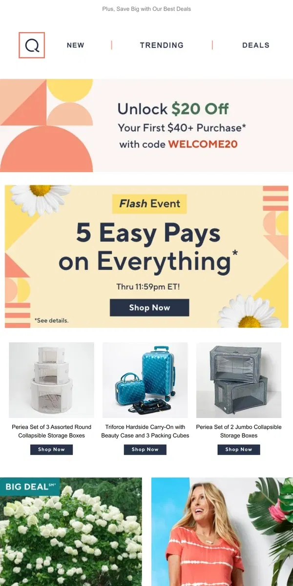 Email from QVC. 5 Easy Pays Flash Event: Go!