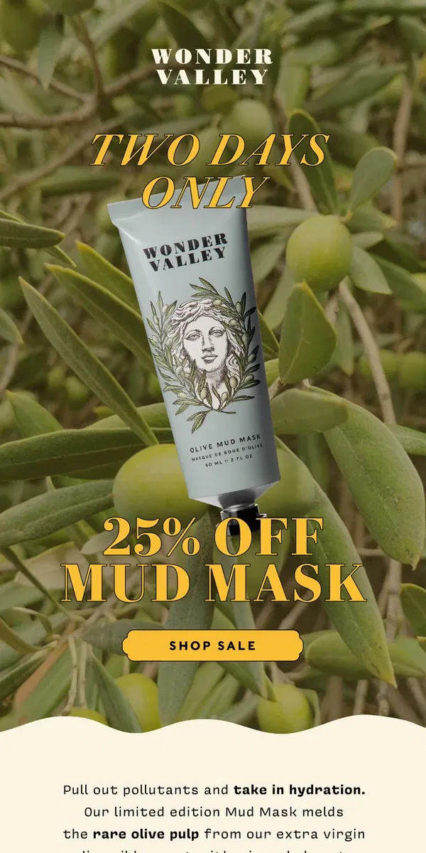 Email from Wonder Valley. 25% OFF Mud Mask Starts Now!