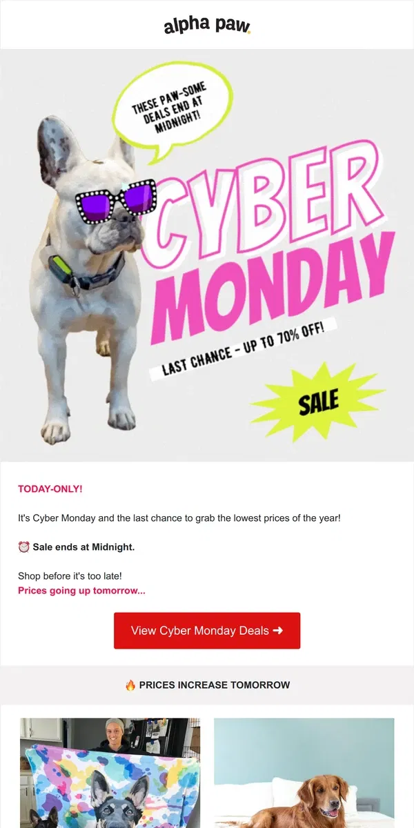 Email from Alpha Paw. ⚠️ Today Only! Cyber Monday Sale!