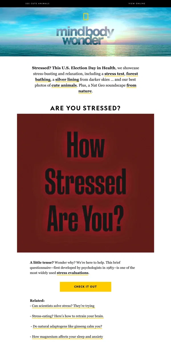 Email from National Geographic. How stressed are you? Find out; de-stress; see cute animals