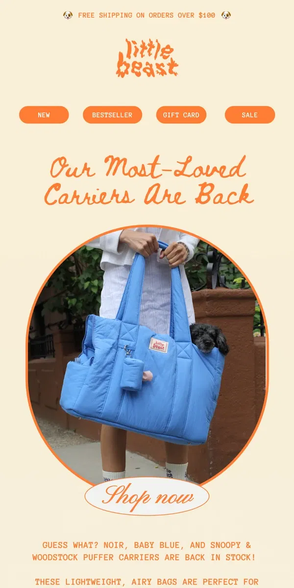 Email from Little Beast. Our Most-Loved Carriers Are Back!