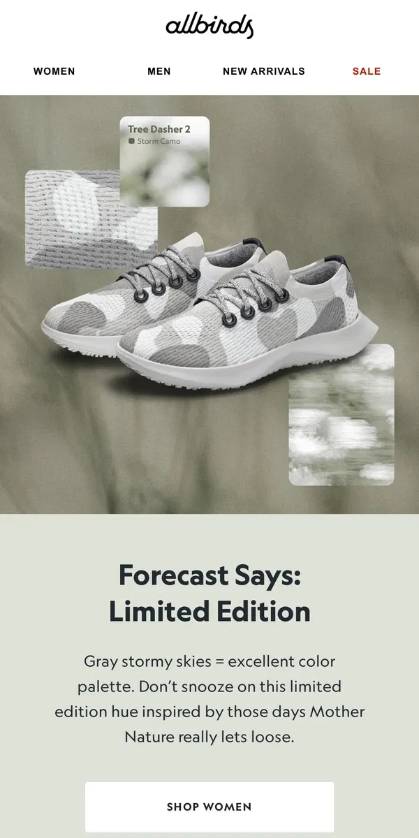 Email from Allbirds. Limited Edition? Big Time