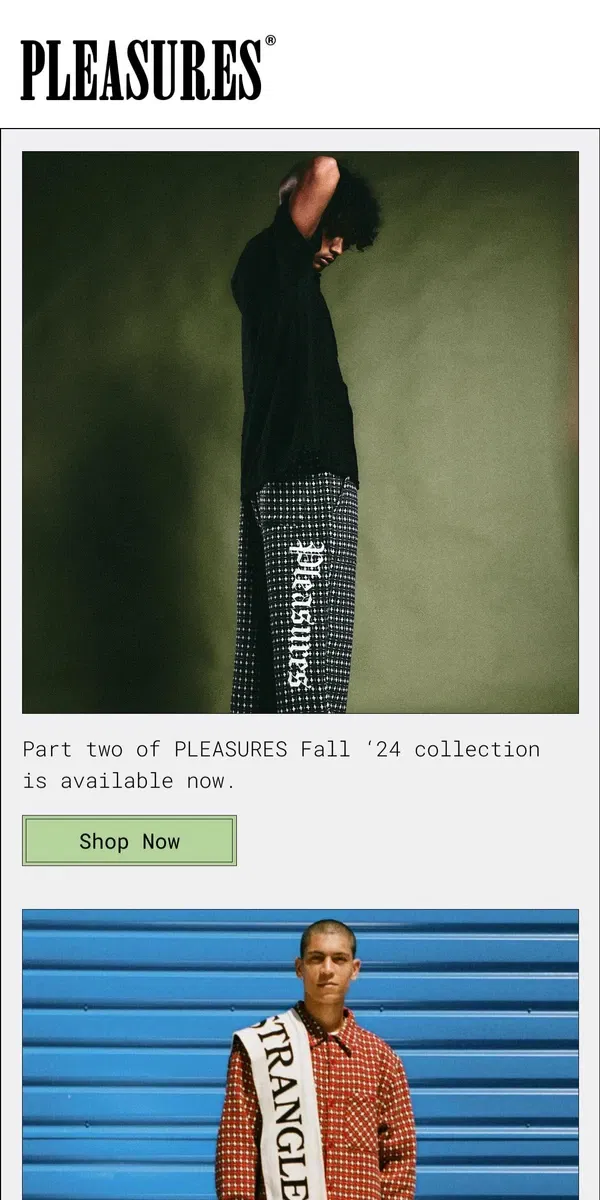 Email from PLEASURES. Fall ‘24 Collection Is Complete