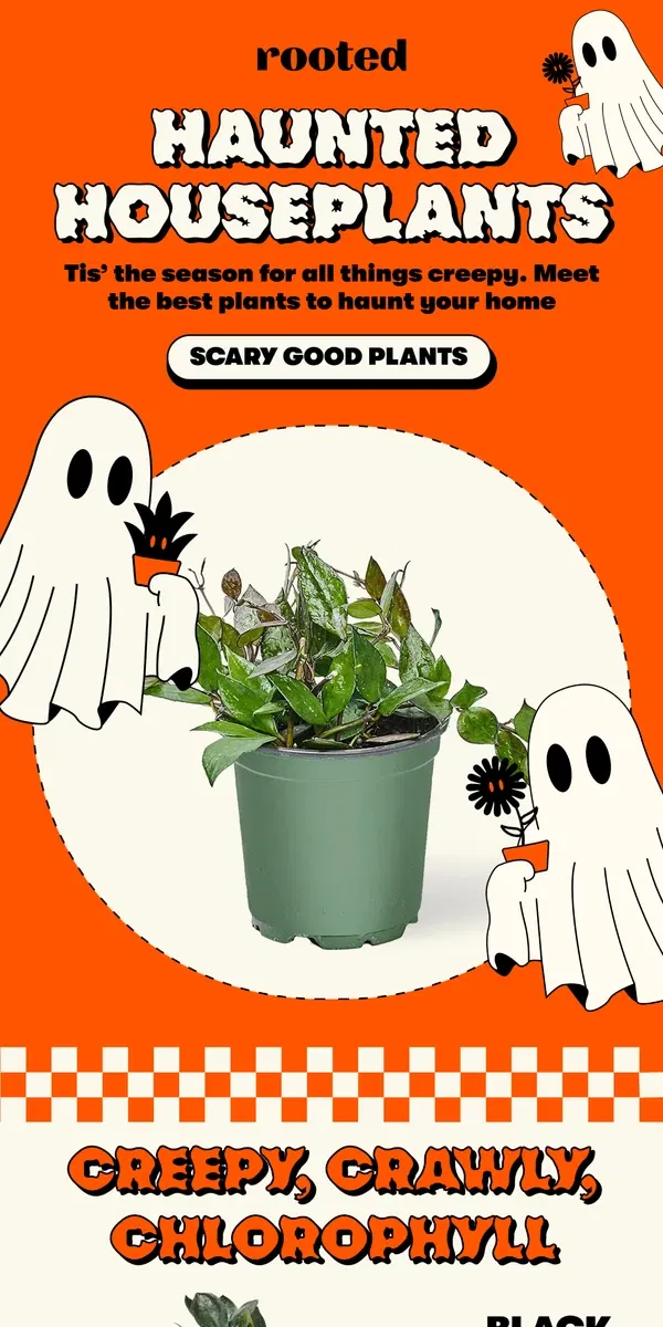 Email from Rooted. Step into our Haunted House(plants) 😱