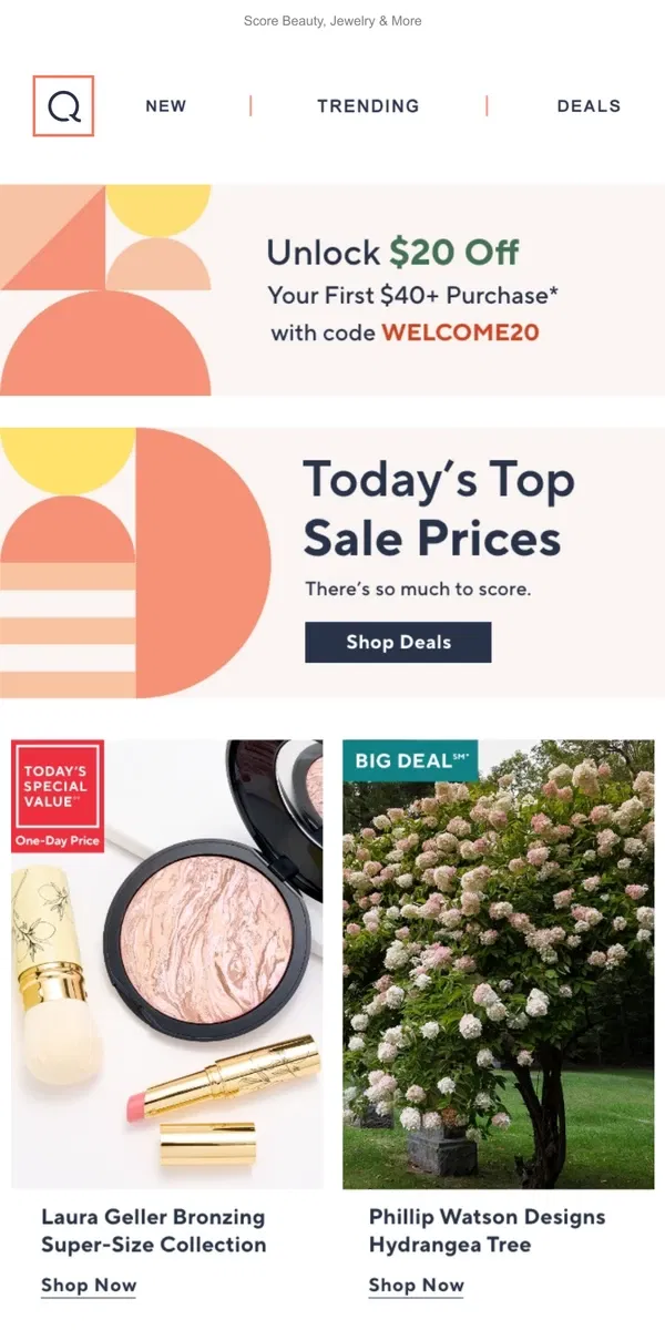 Email from QVC. Top Sale Prices: Treat Yourself!