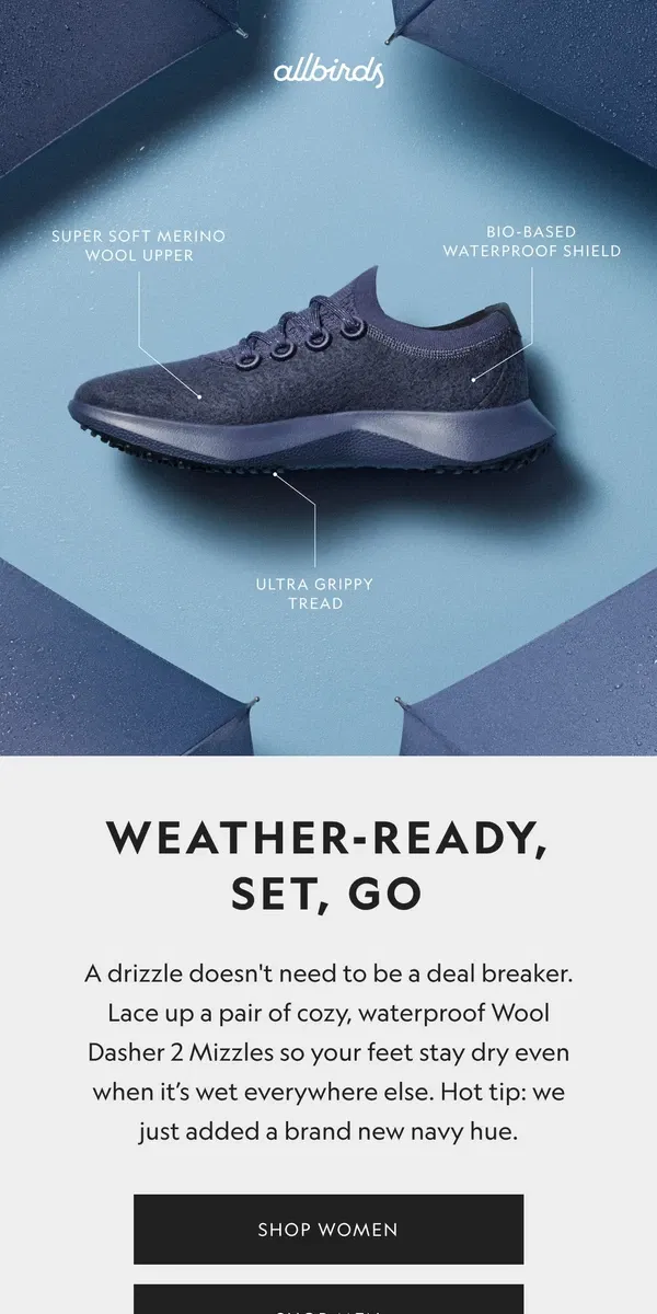 Email from Allbirds. Made For Rainy Days ☔