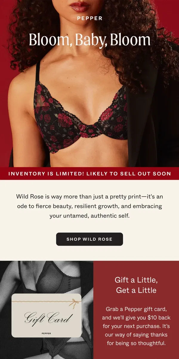 Email from Pepper. Have You Met Wild Rose?