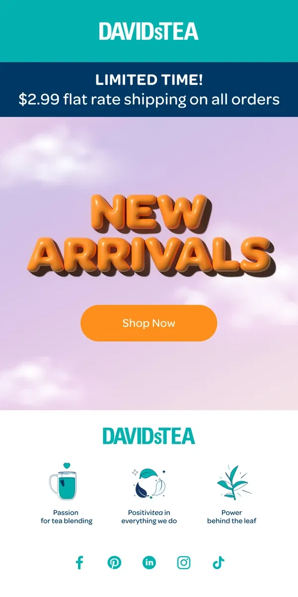 Email from DAVIDsTEA. NEW! NEW! NEW!