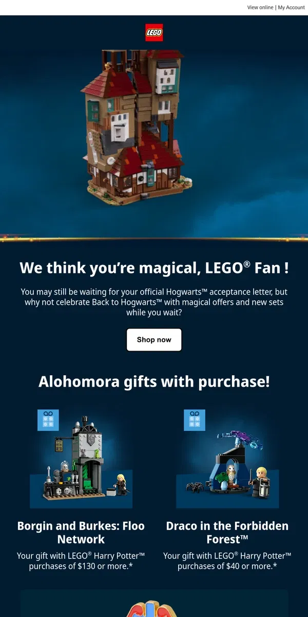 Email from Lego. There’s magic in this email!