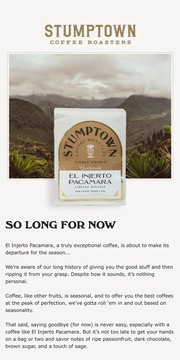 Email from Stumptown Coffee Roasters. Pacamara is headed out✌️