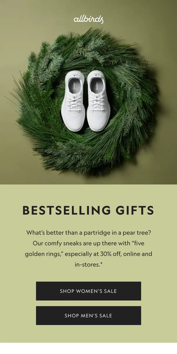 Email from Allbirds. Our Last-Minute Gift Sale Is Still On 🎄