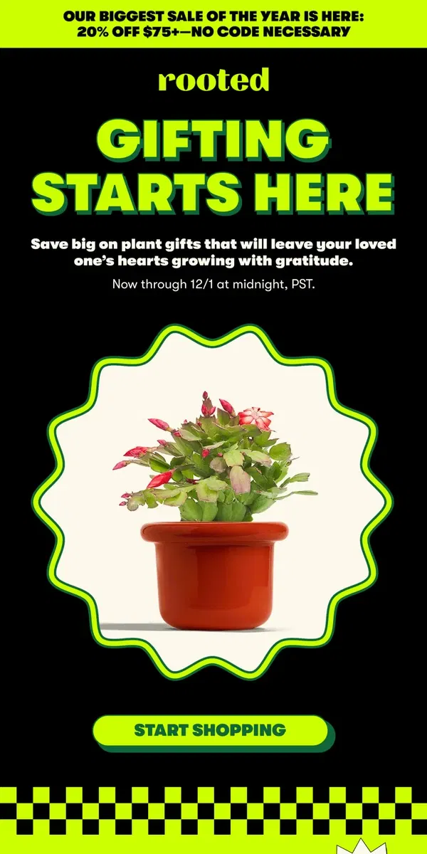 Email from Rooted. Save on the perfect plant gift 🪴