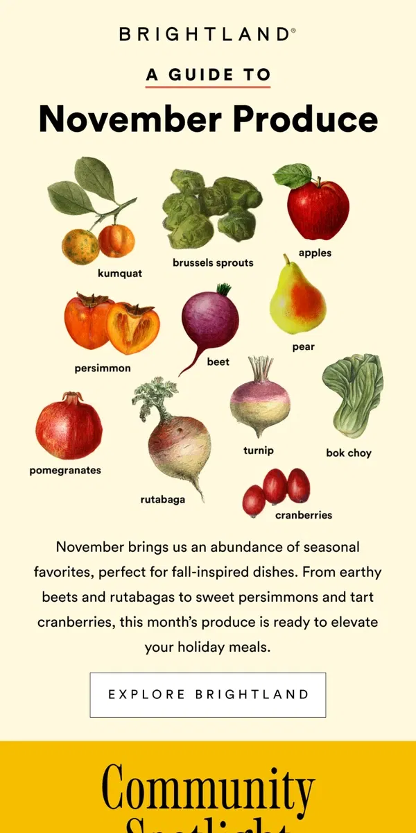 Email from Brightland. November's Produce Guide 🍎