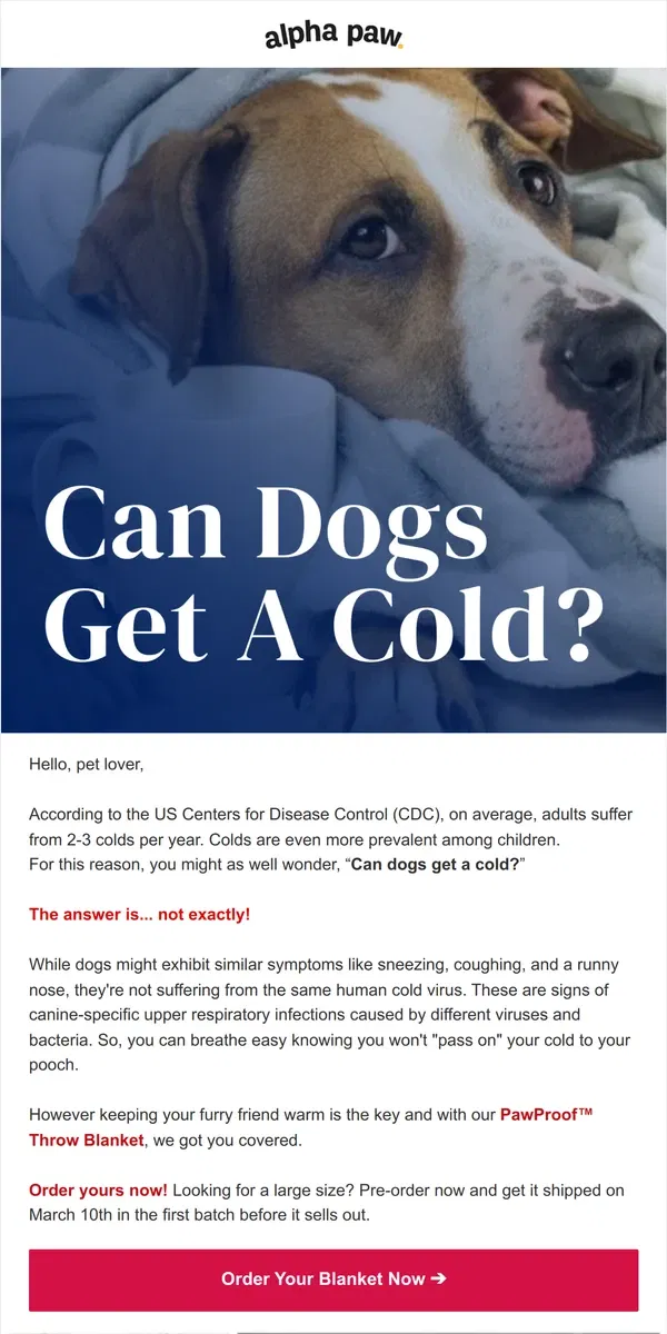 Email from Alpha Paw. 🐶 Can dogs get a cold?