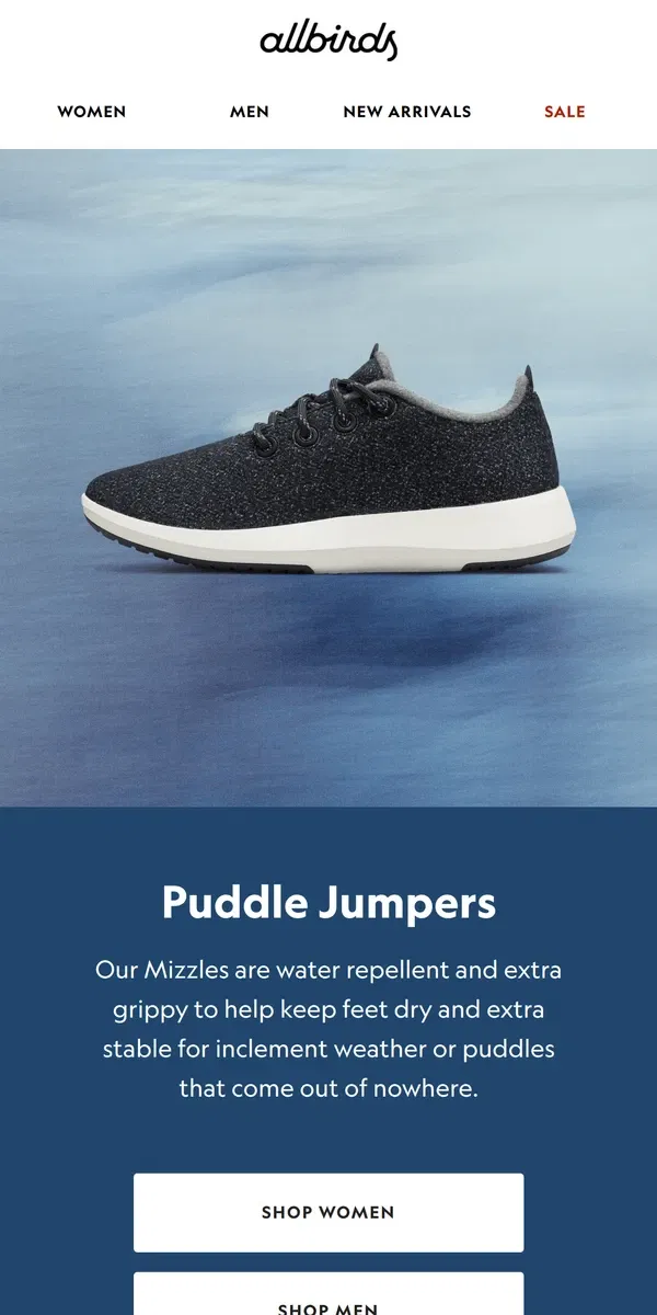 Email from Allbirds. Drip, Drip, Drop?