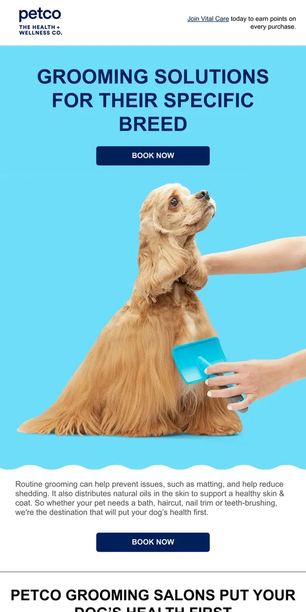 Email from Petco. Groom your pup to help them live a healthy and happy life!