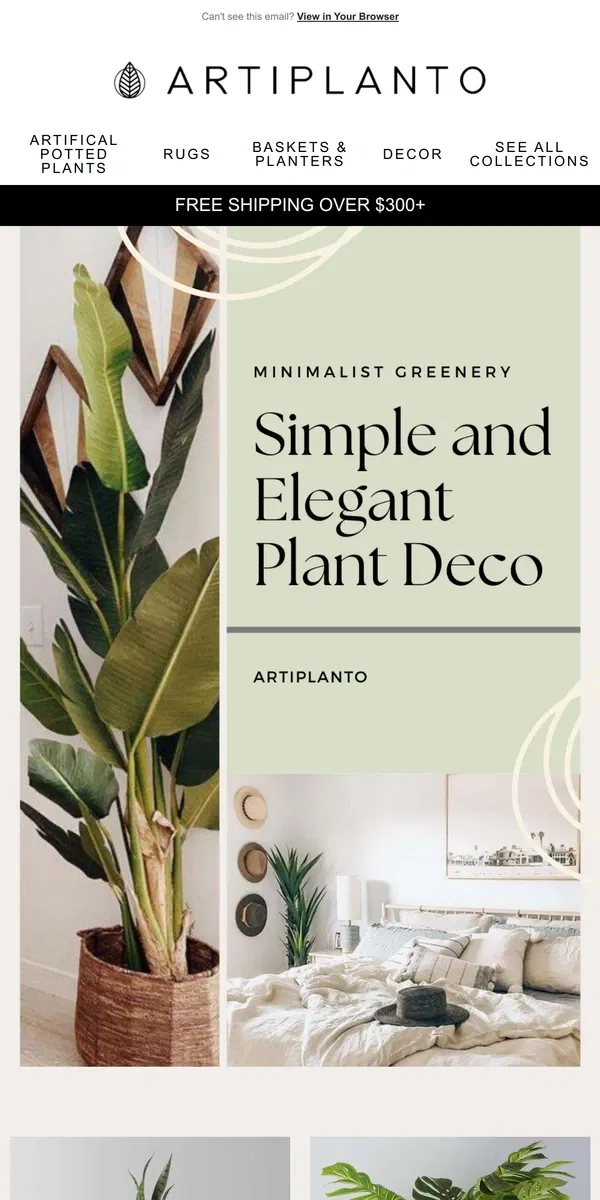 Email from Artiplanto. Minimalist Plant Decor for your HOME ❤️