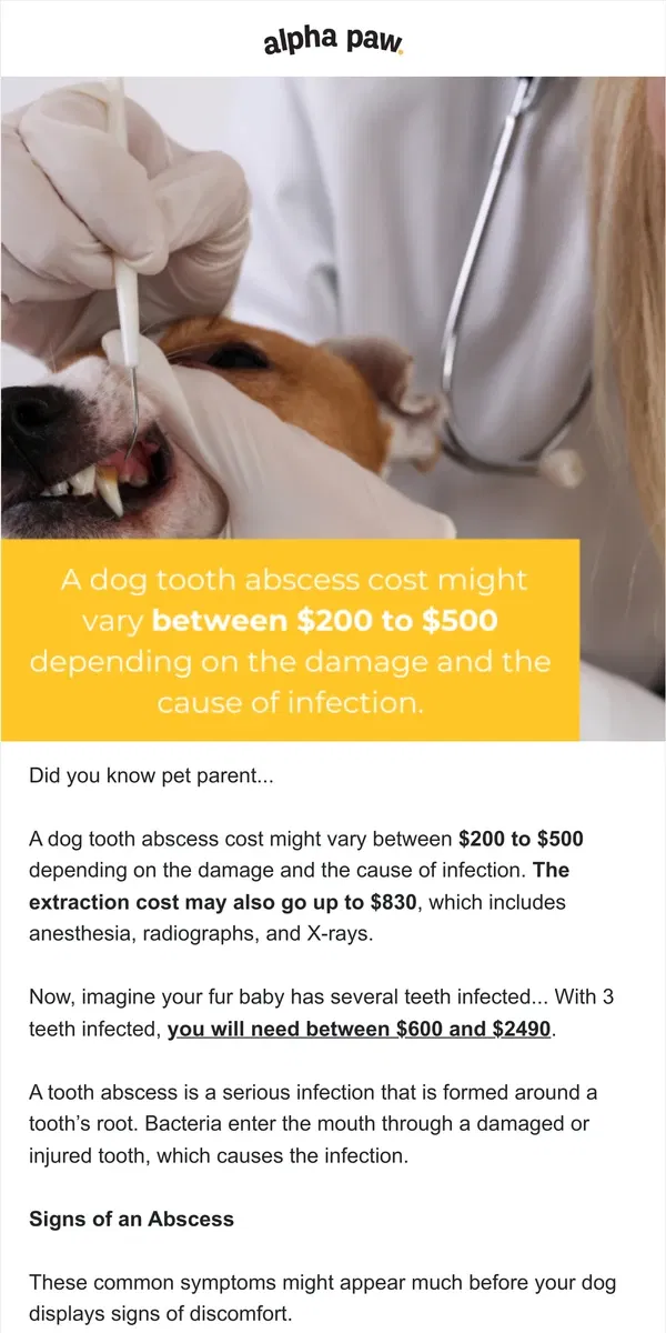 Email from Alpha Paw. 🐕‍🦺 Dog Tooth Abscess is extremely costly & dangerous...