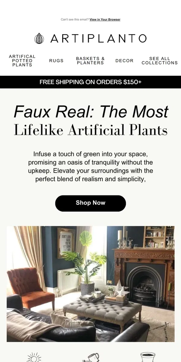 Email from Artiplanto. 🌿Step Into a World Where Botanical Beauty Meets Realism 