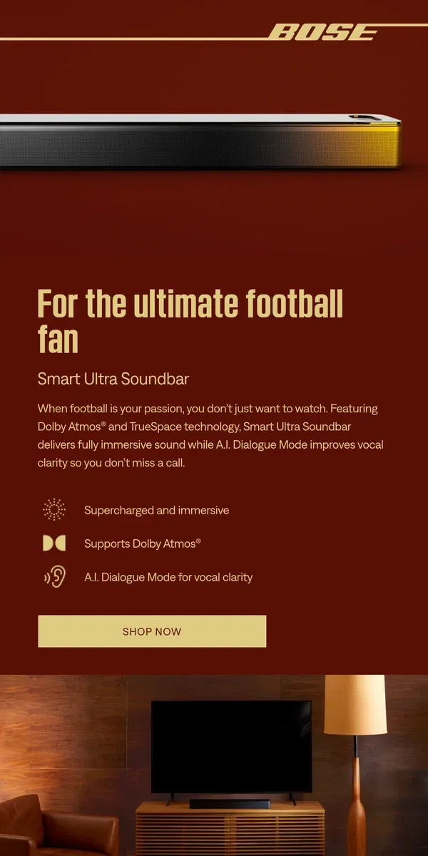 Email from Bose. It’s the season for soundbars — football is back!