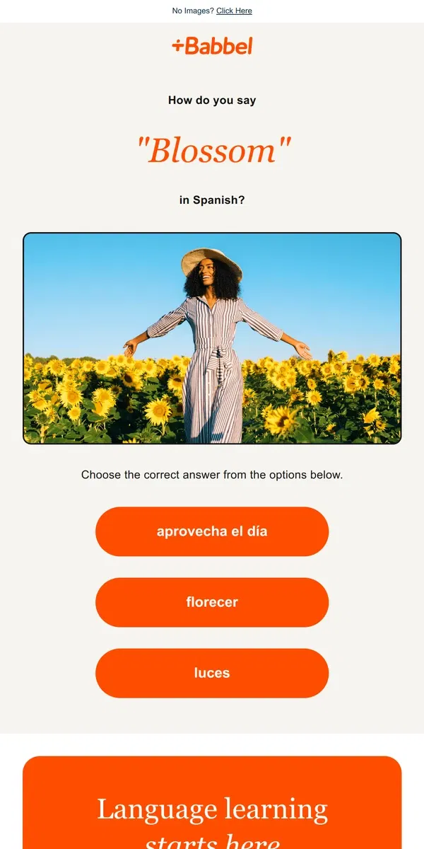 Email from Babbel. 🌺 How do you say “blossom” in Spanish?