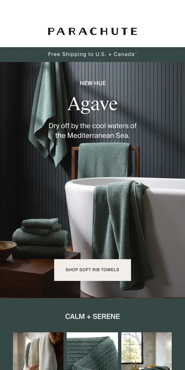 Email from Parachute Home. Just Dropped: AGAVE