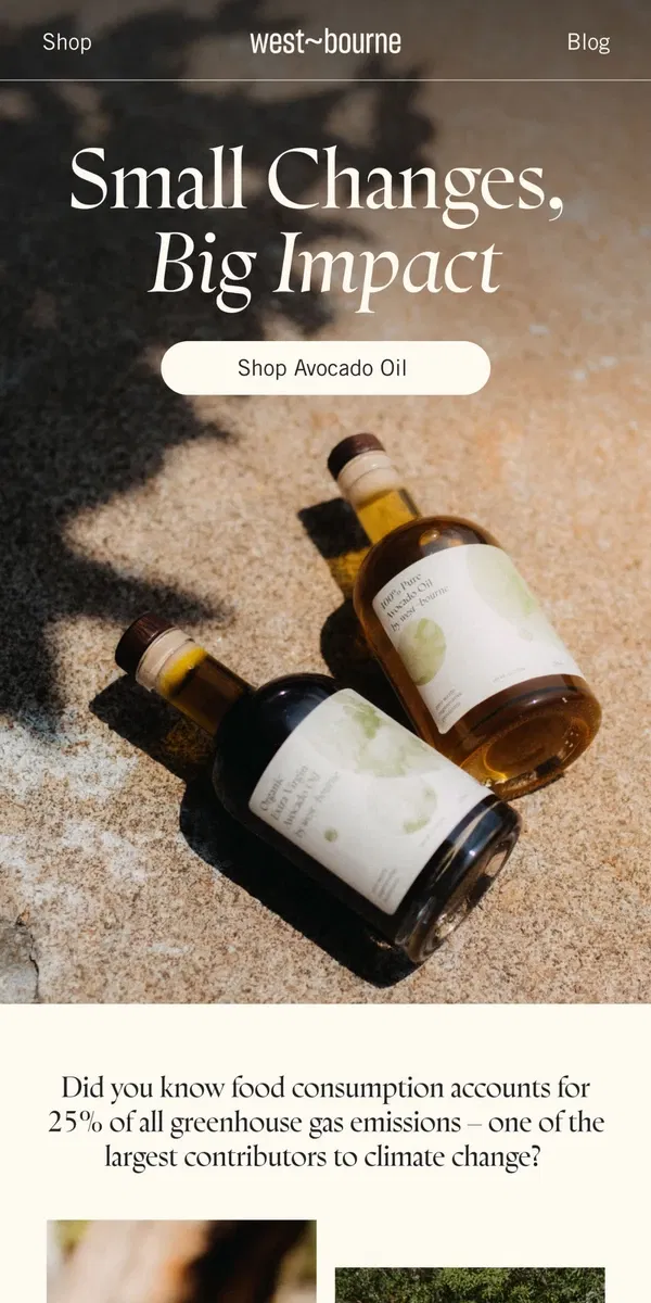 Email from west-bourne. How our Avocado Oil supports soil health