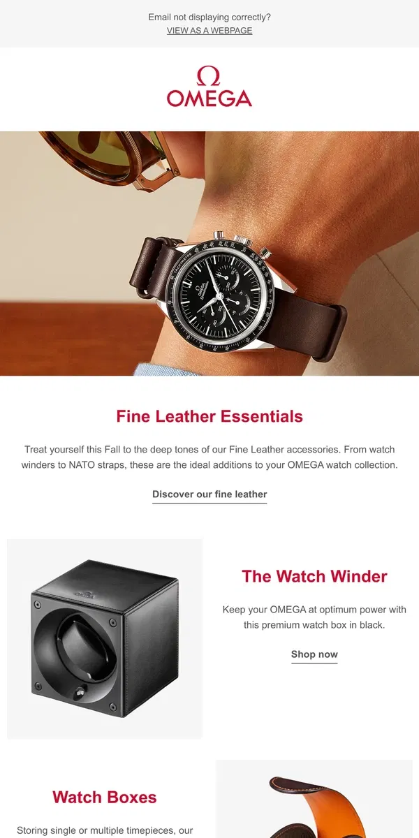 Email from OMEGA. Fine Leather Essentials