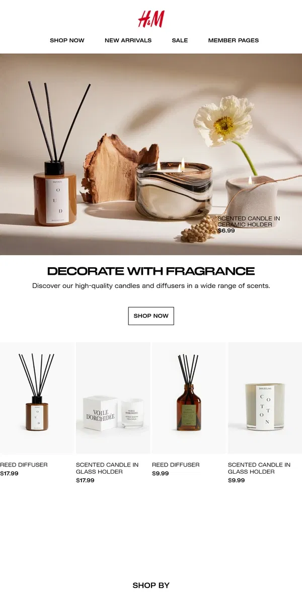 Email from H&M. Scent guide: Home fragrances