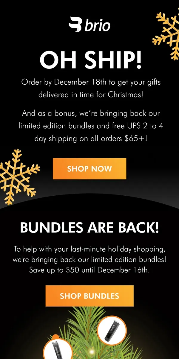 Email from Brio Product Group. Last call for Christmas shipping approaching!