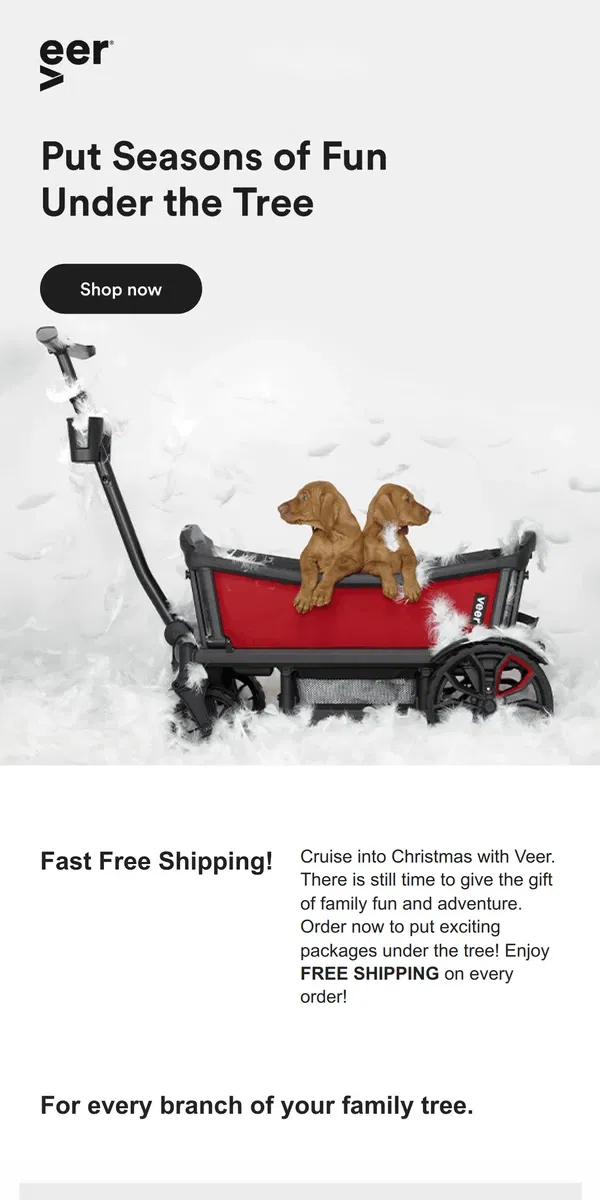 Email from Veer. Want Veer Under Your Tree?