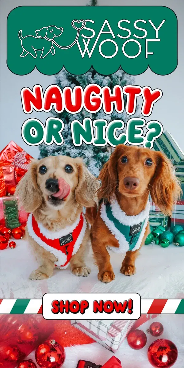 Email from Sassy Woof. NEW Naughty & Nice Velvet Sherpa Collection! ❤️💚