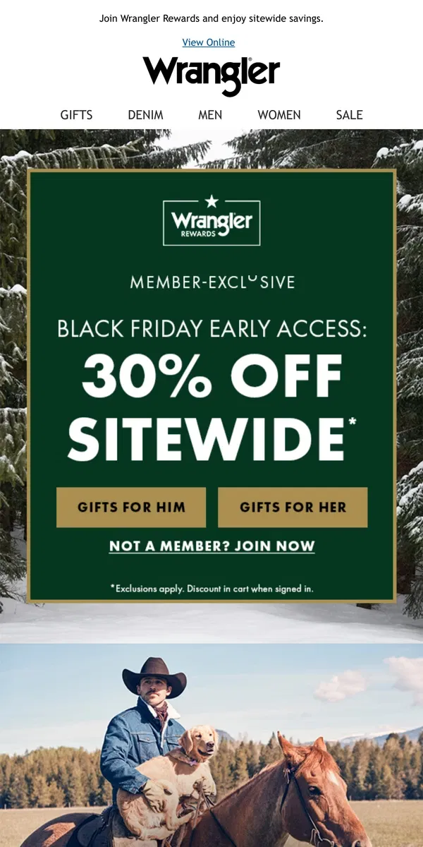 Email from Wrangler. Open for a holiday head start (30% off!)