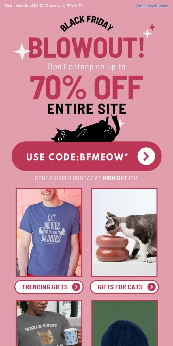 Email from Meowingtons. Black Friday BLOWOUT 🖤💥