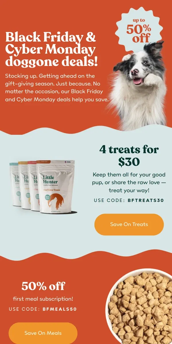 Email from Little Hunter. Don’t let these deals slip through your paws